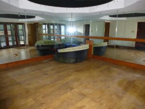 66977_27778418_IMG_17_0000